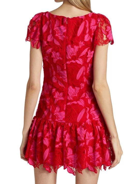 ML Monique Lhuillier Two-Tone Embroidered Lace Minidress 7 ML Monique Lhuillier Two-Tone Embroidered Lace Minidress - Image 5