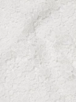 ML Monique Lhuillier High-Low Ruffle Lace Dress 15 ML Monique Lhuillier High-Low Ruffle Lace Dress -Acne Studios And ML Monique Lhuillier Sales unnamed file 1275