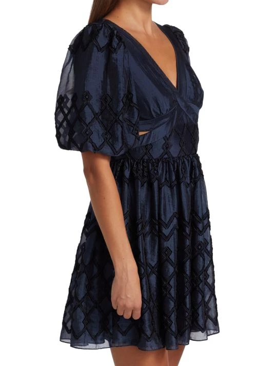 ML Monique Lhuillier Embroidered Organza Mini-Dress 6 ML Monique Lhuillier Embroidered Organza Mini-Dress - Image 4