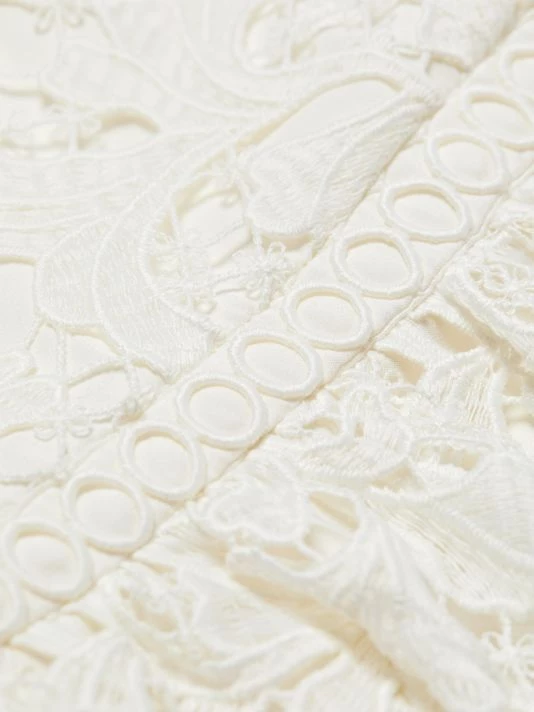 ML Monique Lhuillier Embroidered Lace Mini-Dress 9 ML Monique Lhuillier Embroidered Lace Mini-Dress - Image 7