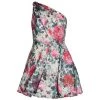 ML Monique Lhuillier Floral One-Shoulder Minidress 1 ML Monique Lhuillier Floral One-Shoulder Minidress -Acne Studios And ML Monique Lhuillier Sales unnamed file 1508