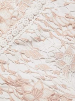 ML Monique Lhuillier Lace Midi A-Line Dress 15 ML Monique Lhuillier Lace Midi A-Line Dress -Acne Studios And ML Monique Lhuillier Sales unnamed file 928